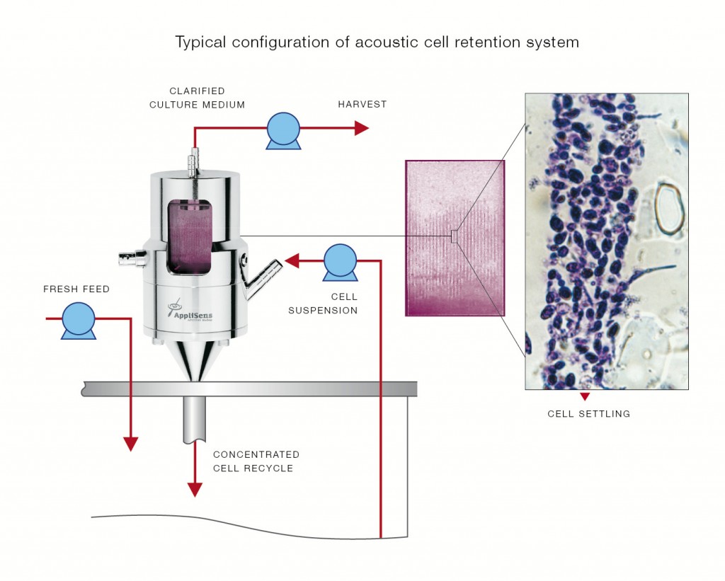 Acoustic cell retention system
