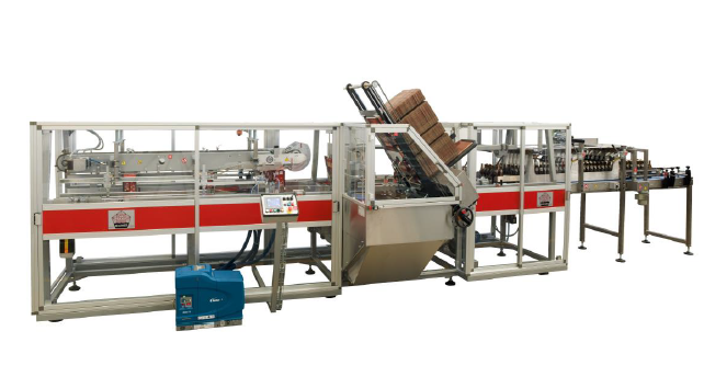 Wrap-around case packer for cans or bottles