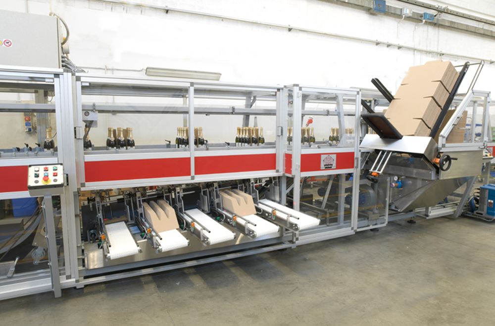 Cartoner with partitions for wine