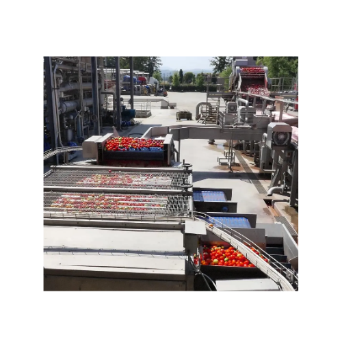 Přesné třídiče na rajčata a kulaté plody