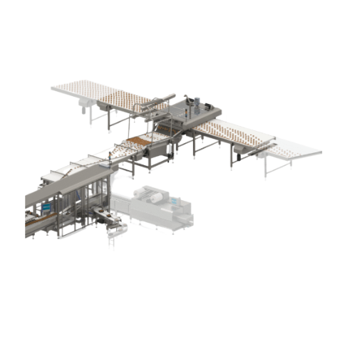 Automatický nakladač pro sušenky nepravidelného tvaru