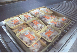 Zamrażarka kartonowa