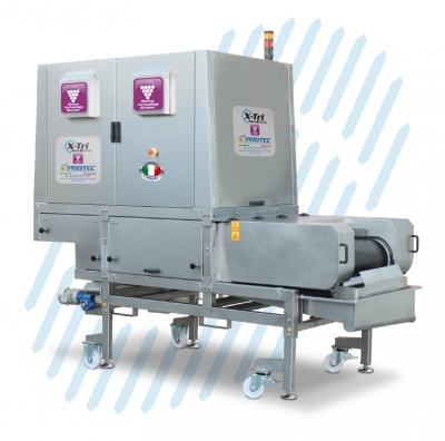 Optical Grape Sorting Machine with Air Jet Rejection for Winemaking