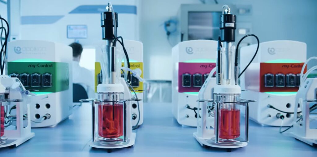 Configuring gas conditions for T-cell expansion