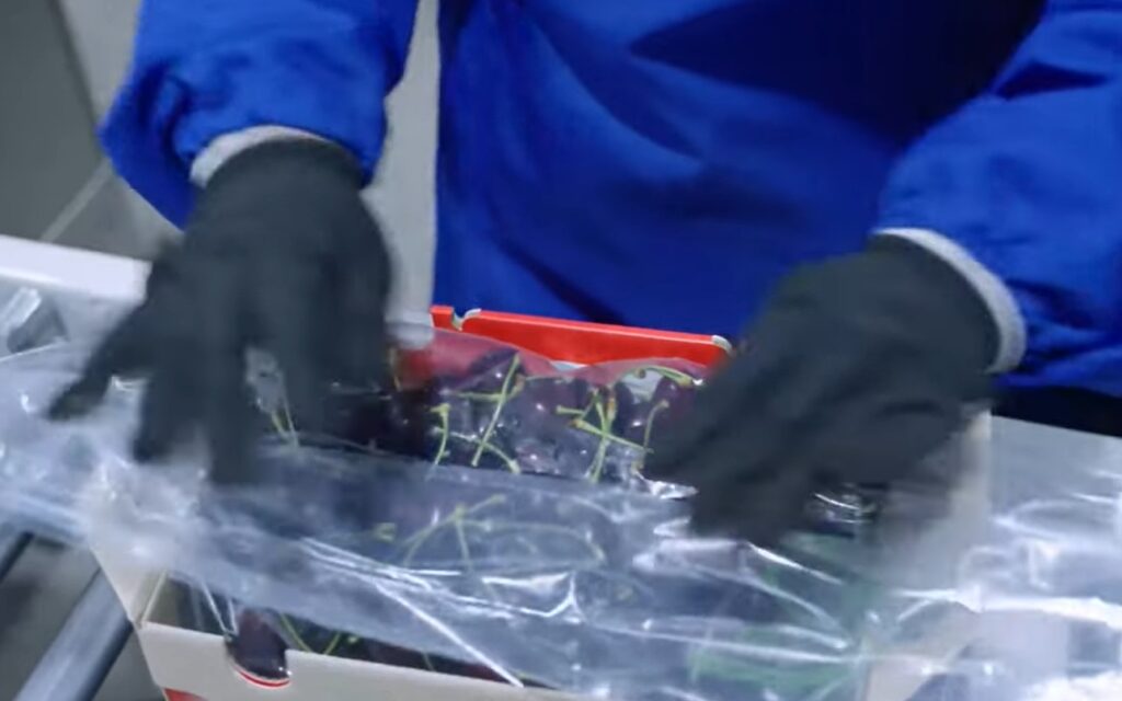 Who do you trust to box your delicate fruit perfectly?