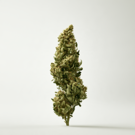 Cannabinoids