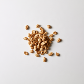 Sugar beet seeds